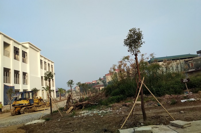  Bán đất mặt đường huyện Ninh Giang, Hải Dương